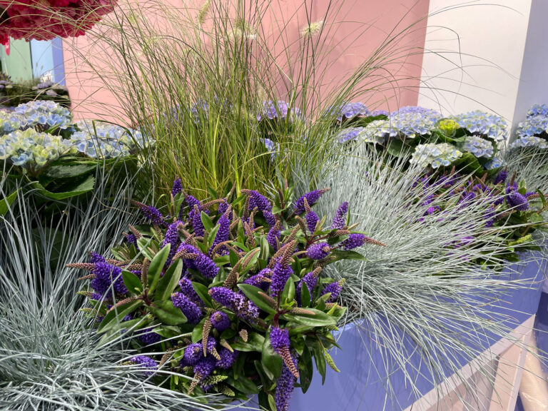 Succesvolle beurs voor Brands of Plants op Plantarium Groen-Direkt